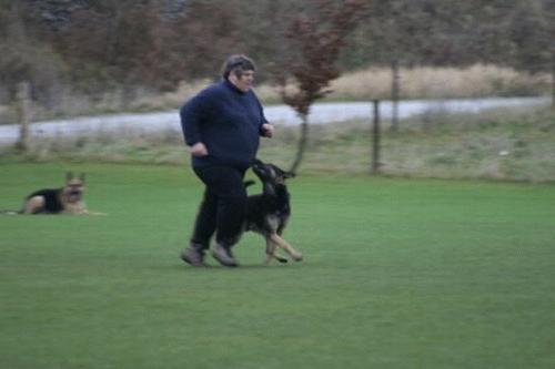 erik og Isno (11)[1].gif